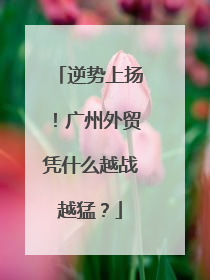 逆势上扬！广州外贸凭什么越战越猛？